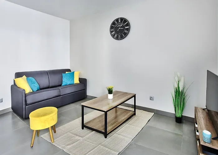 Appartement Le Spacieux Lyonnais
